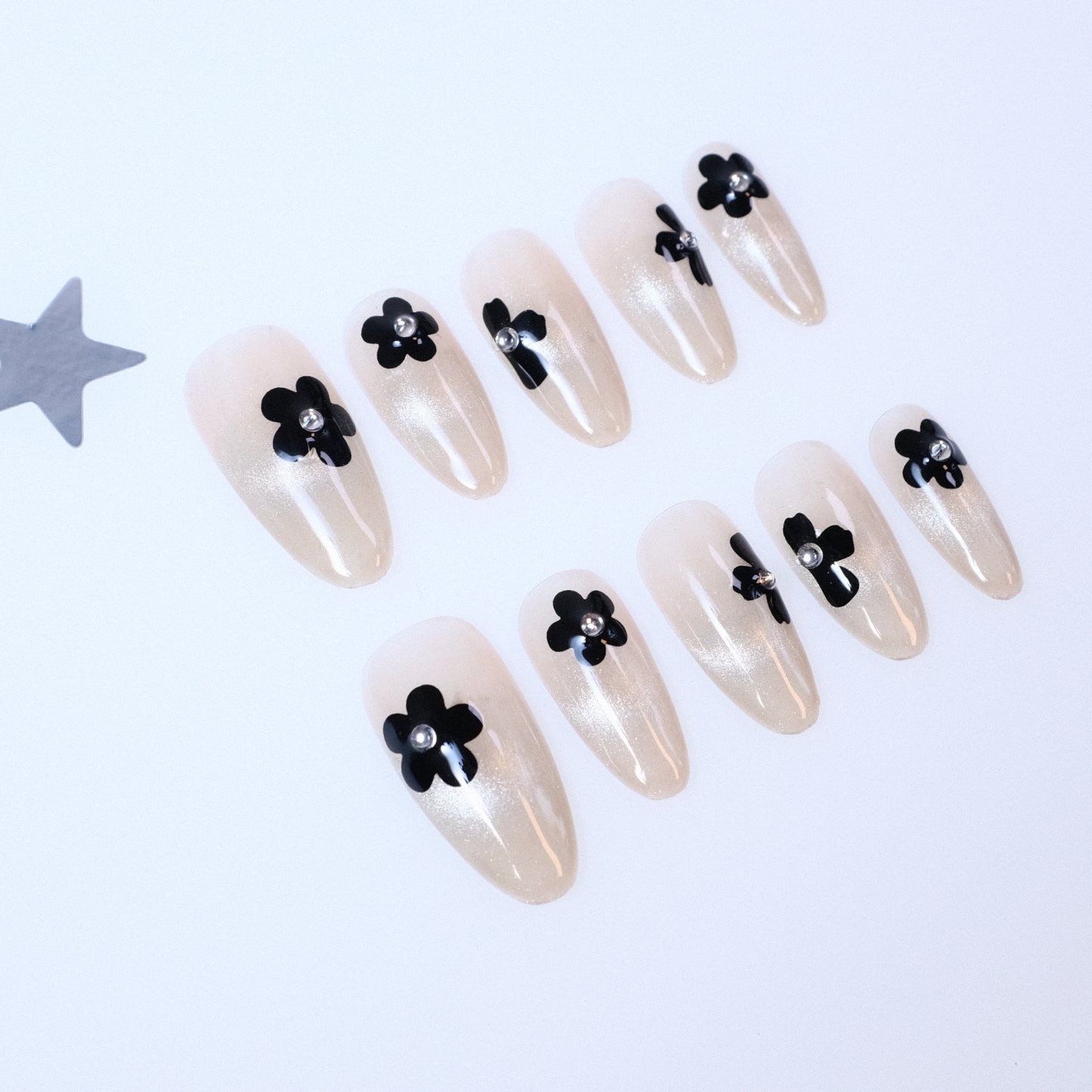 Ebony Daisies