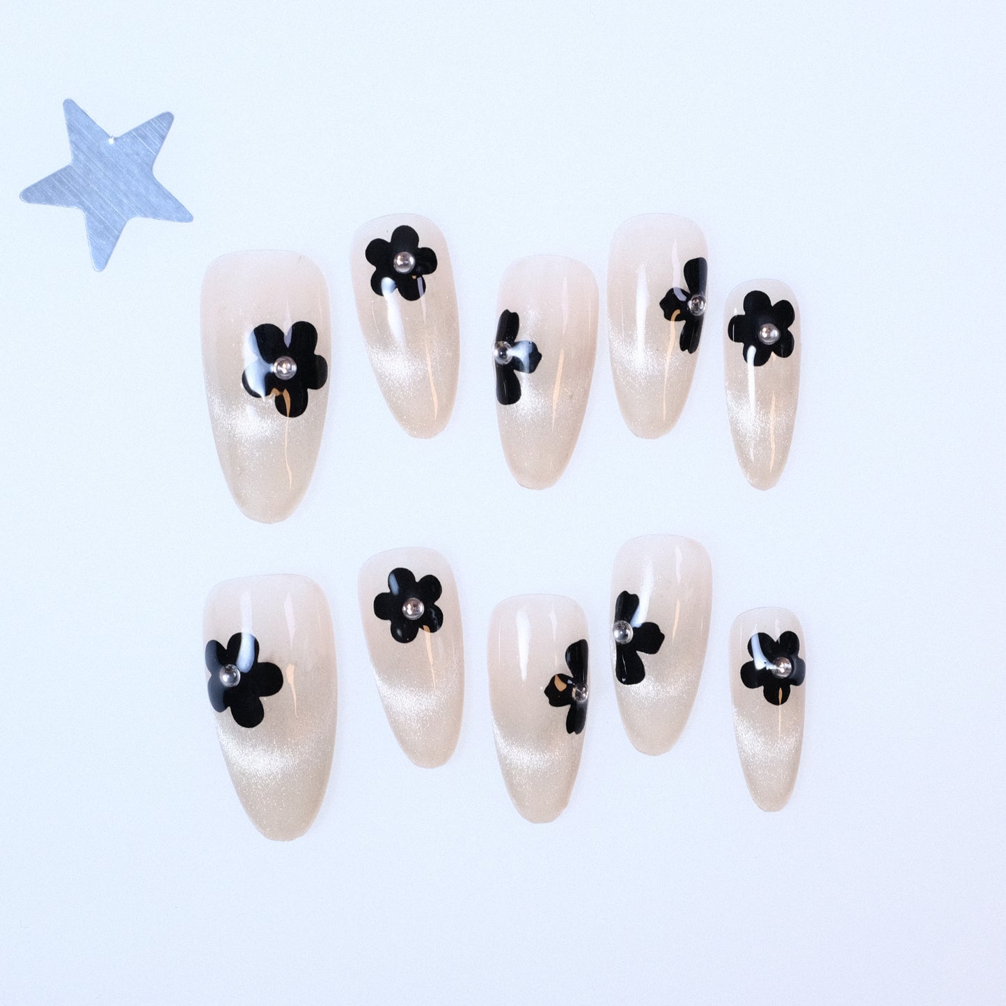 Ebony Daisies